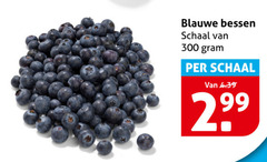  300 blauwe bessen schaal 