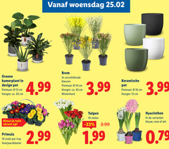 klik op dit plaatje voor een vergroting en voor vergelijkbare aanbiedingen gerelateerd aan
10 12 14 15 30 woensdag groene kamerplant design pot potmaat cm hoogte ca. kleuren winterhard 3.99 keramische kleur tuin primula stuks tray voorjaarsbloeier tulpen stelen hyacinthen blauw roze wit 10 12 14 15 30 woensdag groene kamerplant design pot potmaat cm hoogte ca. kleuren winterhard 3.99 keramische kleur tuin primula stuks tray voorjaarsbloeier tulpen stelen hyacinthen blauw roze wit
