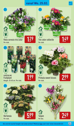  9 12 14 viola cornuta cm trio color stuk gardenline hoogte collectie primula sweet kisses hortensia tulpen bos meld 