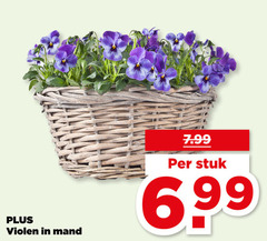 klik op dit plaatje voor een vergroting en voor vergelijkbare aanbiedingen gerelateerd aan
violen mand stuk 6 99 violen mand stuk 6 99