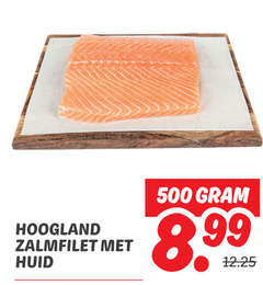  zalmfilet 500 hoogland huid 