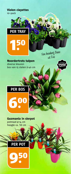 klik op dit plaatje voor een vergroting en voor vergelijkbare aanbiedingen gerelateerd aan
10 14 15 40 50 150 600 950 violen pack tray noordertrots tulpen kleuren bos stelen cm kwekerij baas noorder trots guzmania sierpot potmaat hoogte ca. pot 10 14 15 40 50 150 600 950 violen pack tray noordertrots tulpen kleuren bos stelen cm kwekerij baas noorder trots guzmania sierpot potmaat hoogte ca. pot