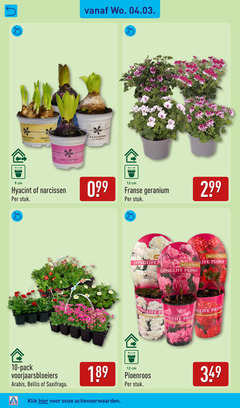  9 10 12 narcissus hyacinthus roze rose pink cm hyacint narcissen stuk wit franse geranium flower longlife peony life pioenen pack voorjaarsbloeiers arabis bellis saxifraga pioenroos klik 