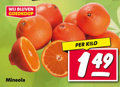 klik op dit plaatje voor een vergroting en voor vergelijkbare aanbiedingen gerelateerd aan
mineola kilo mineola kilo