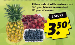  2 500 pitloze rode witte druiven schaal blauwe bessen ananas stuks 
