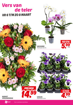  6 8 9 12 vers teler boeket orchidee potmaat cm bos violen beschikbaar stuk 5 99 5.99 