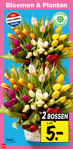 2 8 bloemen planten hollandse telers dagen tulpen bos stelen bossen 