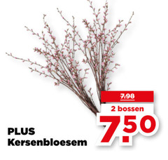  2 750 kersenbloesem bossen 
