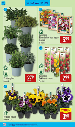  2 8 10 14 25 279 350 pack violen stuk cm kruidenplant klik gardenline waste vaste planten mix bijen vlinders stuks 00 bloembollen gekleurde rozen garden feelings 