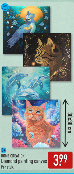  cm 3 home creation diamond painting canvas stuk 