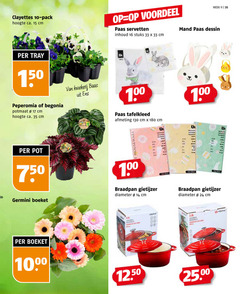 klik op dit plaatje voor een vergroting en voor vergelijkbare aanbiedingen gerelateerd aan
8 10 11 14 15 16 17 24 33 35 100 150 180 200 750 pack hoogte ca. cm voordeel paas servetten inhoud stuks week mand dessin tray peperomia begonia potmaat kwekerij baas tafelkleed pot germini boeket houseware braadpan gietijzer diameter www bike alpina cast 8 10 11 14 15 16 17 24 33 35 100 150 180 200 750 pack hoogte ca. cm voordeel paas servetten inhoud stuks week mand dessin tray peperomia begonia potmaat kwekerij baas tafelkleed pot germini boeket houseware braadpan gietijzer diameter www bike alpina cast