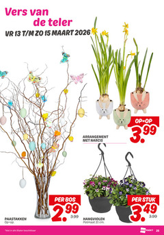  13 15 25 vers teler paastakken beschikbaar arrangement narcis 3.99 bos potmaat cm stuk 