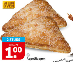  2 100 oven stuks appelflappen 
