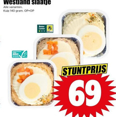  69 140 westland slaatje kuip beter leven 