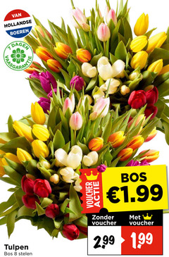  tulpen 8 bos stelen hollandse boeren dagen voucher 