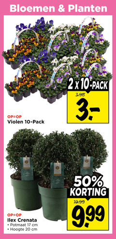  violen 2 10 17 20 50 bloemen planten pack crenata potmaat cm hoogte fresh www 9 99 