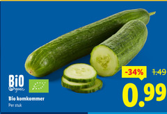  komkommer bio organic stuk 