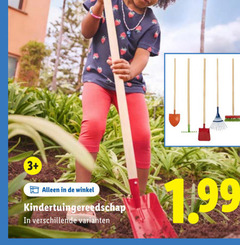  kindertuingereedschap 3 