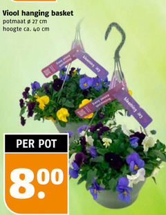  27 40 viool hanging basket potmaat cm hoogte ca. easy gardening blooming joy pot 