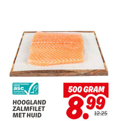 zalmfilet 500 kweek gecertificeerd asc-aqua.org hoogland huid 