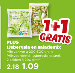  ijsbergsla 1 2 7 200 salademix zakken naturel 