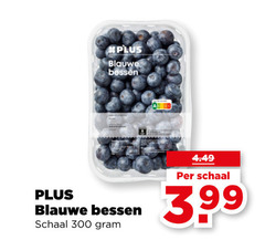 blauwe bessen 300 schaal 3.99 