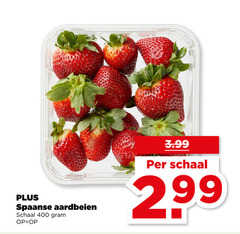 aardbeien 400 spaanse schaal 3.99 