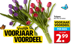  tulpen 10 vrolijk voorjaar voordeel bos stelen 