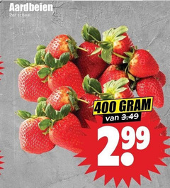  aardbeien 400 schaal 