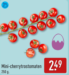  cherry tomaten 250 mini cherrytrostomaten 