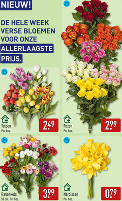  tulpen rozen ranonkels 50 week verse bloemen bos cm narcissen 