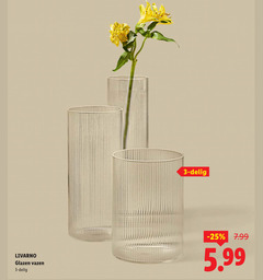 klik op dit plaatje voor een vergroting en voor vergelijkbare aanbiedingen gerelateerd aan
3 livarno glazen vazen delig 5.99 3 livarno glazen vazen delig 5.99