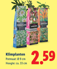  33 passieflora lonicera klimplanten potmaat cm hoogte ca. 