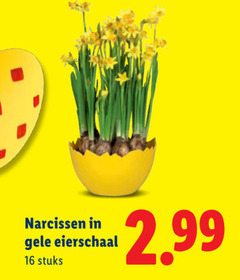 klik op dit plaatje voor een vergroting en voor vergelijkbare aanbiedingen gerelateerd aan
16 narcissen gele eierschaal stuks 16 narcissen gele eierschaal stuks