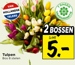  tulpen 2 8 hollandse telers dagen bos stelen bossen 