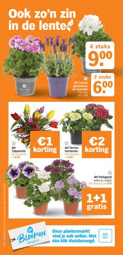 tuinhortensia lavendel 1 2 4 600 biedingen productvarianten combineren lente stuks 90 00 bella donna franse geraniums stuk tulpenmix actieprijs terras hortensia perkgoed mix match bloemen online klik 