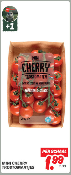  cherry tomaten 250 deka ark 1 mini trostomaten zoet knapperig borrelen salade ge planet proof trostomaatjes schaal 