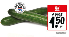 komkommer 2 450 fit nederland 