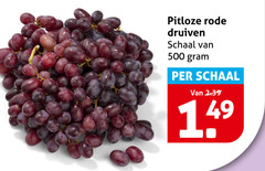  druiven 500 pitloze rode schaal 