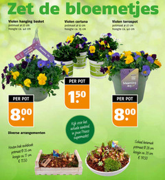  violen 12 15 17 20 27 35 40 150 bloemetjes hanging basket potmaat cm hoogte ca. terraspot easy gardening jay joy garder pot 80 arrangementen houten bak rechthoek bulbs aanbod supermarkt blooming schaal keramiek 28cm 