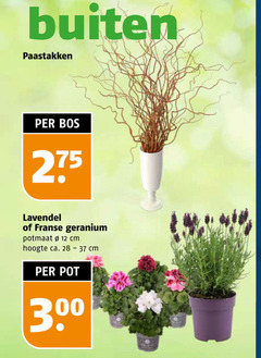klik op dit plaatje voor een vergroting en voor vergelijkbare aanbiedingen gerelateerd aan
12 28 buiten paastakken bos lavendel franse geranium potmaat cm hoogte ca. pot 00 12 28 buiten paastakken bos lavendel franse geranium potmaat cm hoogte ca. pot 00