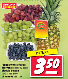  ananas rode bessen druiven blauwe 2 500 dela pitloze witte schaal stuk stuks 