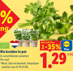  kruidenplanten bio kruiden pot stuk munt tijm bieslook varieeren 