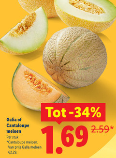  meloen 34 galia cantaloupe stuk 