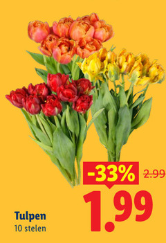  tulpen 10 stelen 