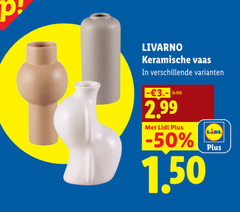 klik op dit plaatje voor een vergroting en voor vergelijkbare aanbiedingen gerelateerd aan
livarno keramische vaas 3. 5.99 livarno keramische vaas 3. 5.99