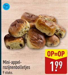  9 mini appel rozijnenbolletjes stuks 