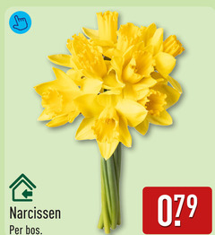  narcissen bos 