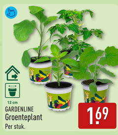  12 cm gardenline groenteplant stuk 