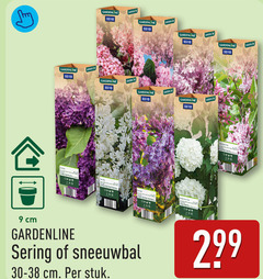  9 10 gardenline garden cm sering sneeuwbal stuk 